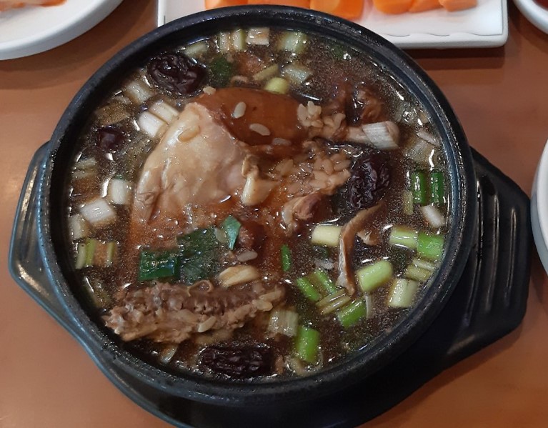 [백년가게] 송할머니옻닭집